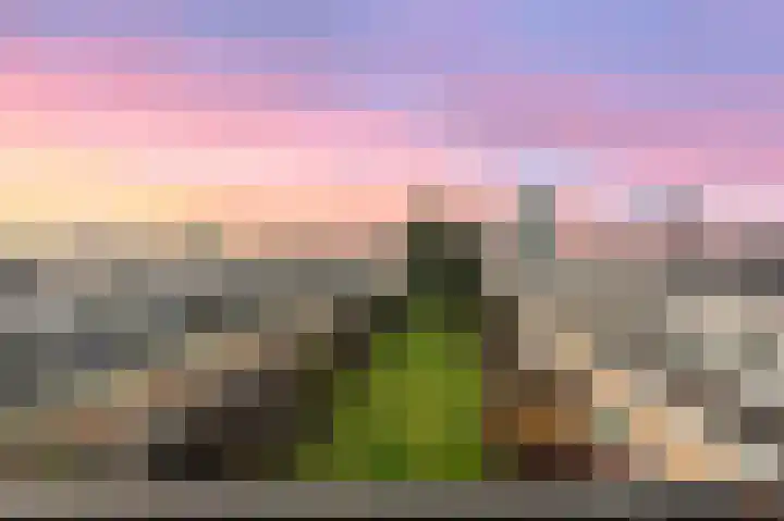 Buitendraaierij 64 Amsterdam thumbnail 32