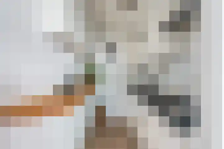 Buitendraaierij 64 Amsterdam thumbnail 4