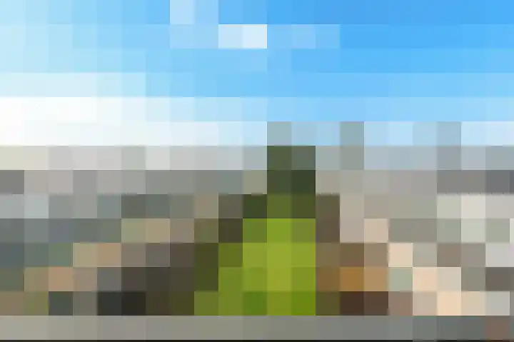 Buitendraaierij 64 Amsterdam thumbnail 7