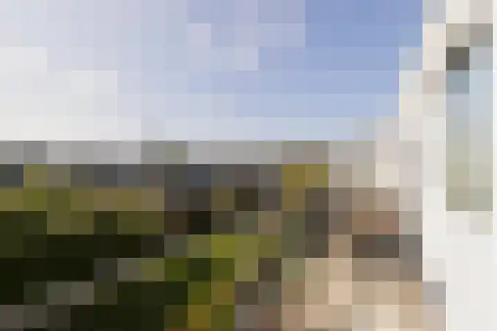 Buitendraaierij 7 Amsterdam thumbnail 10