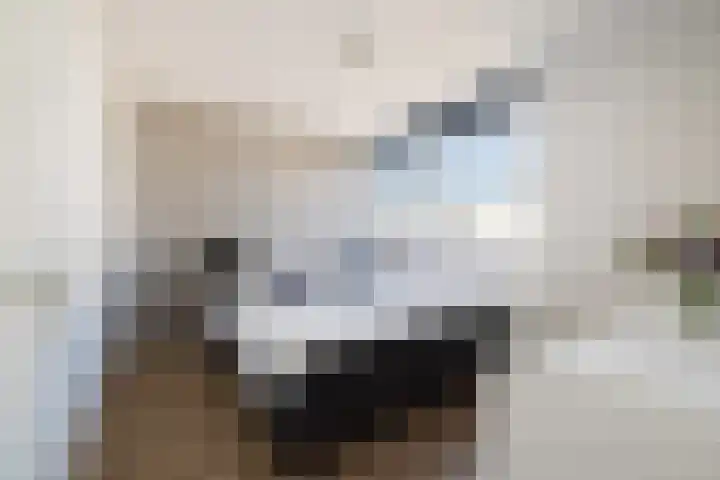 Buitendraaierij 7 Amsterdam thumbnail 11