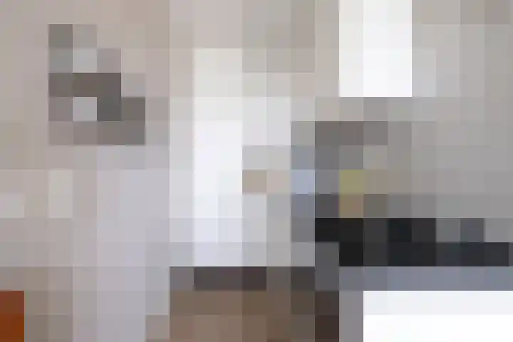 Buitendraaierij 7 Amsterdam thumbnail 9