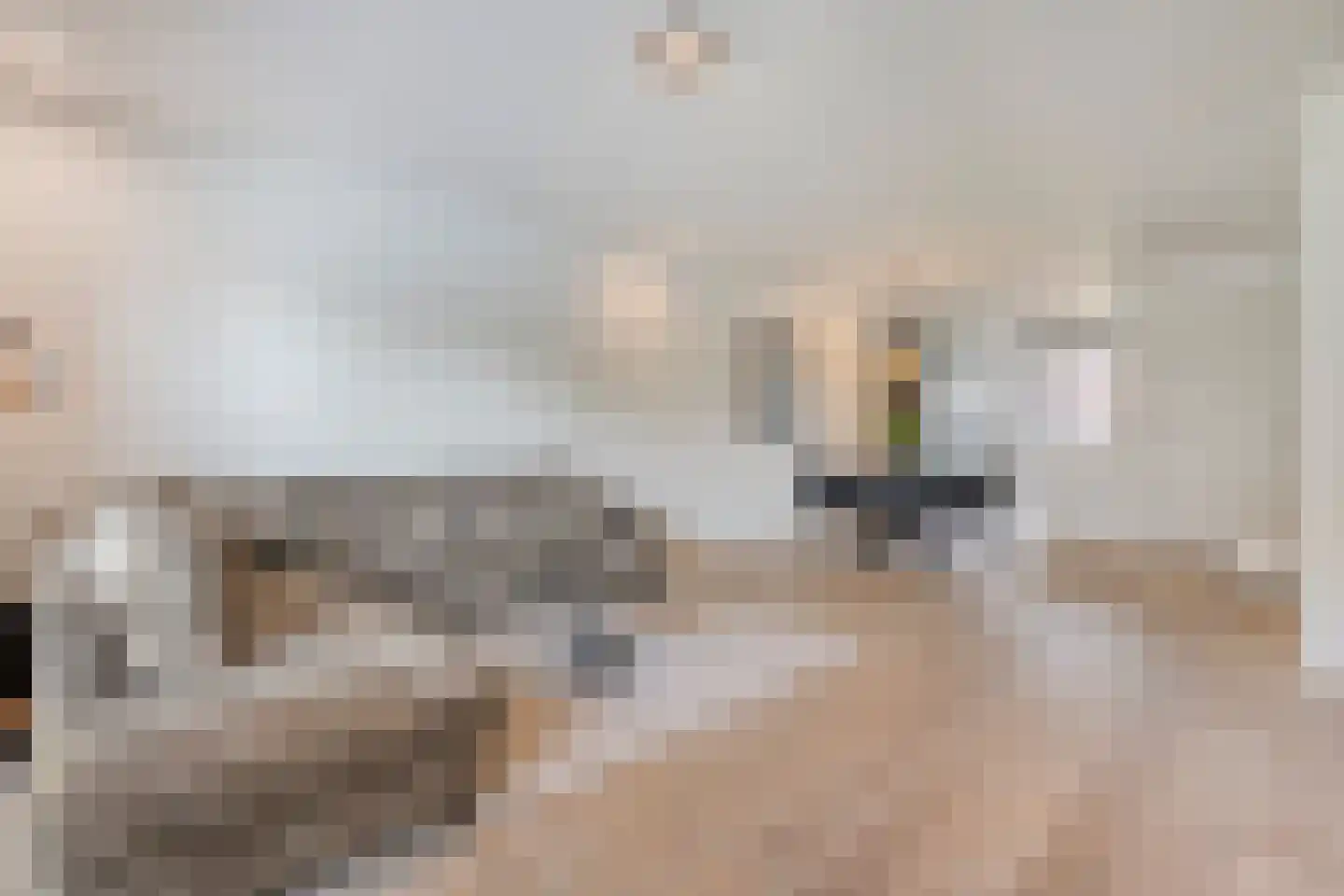 Buitendreef 37 Eindhoven thumbnail 11