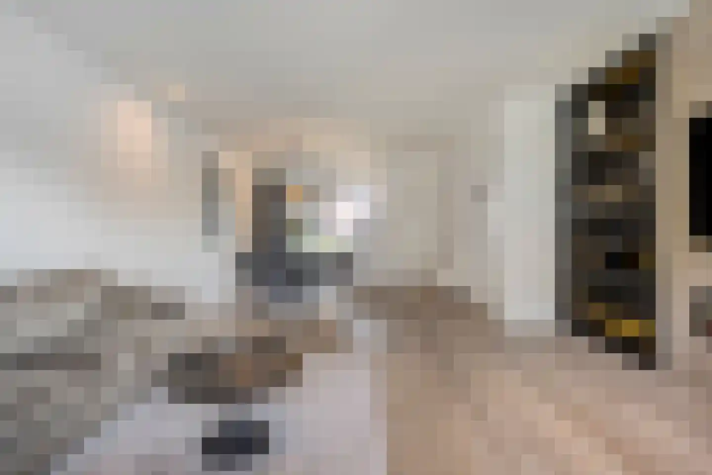 Buitendreef 37 Eindhoven thumbnail 14