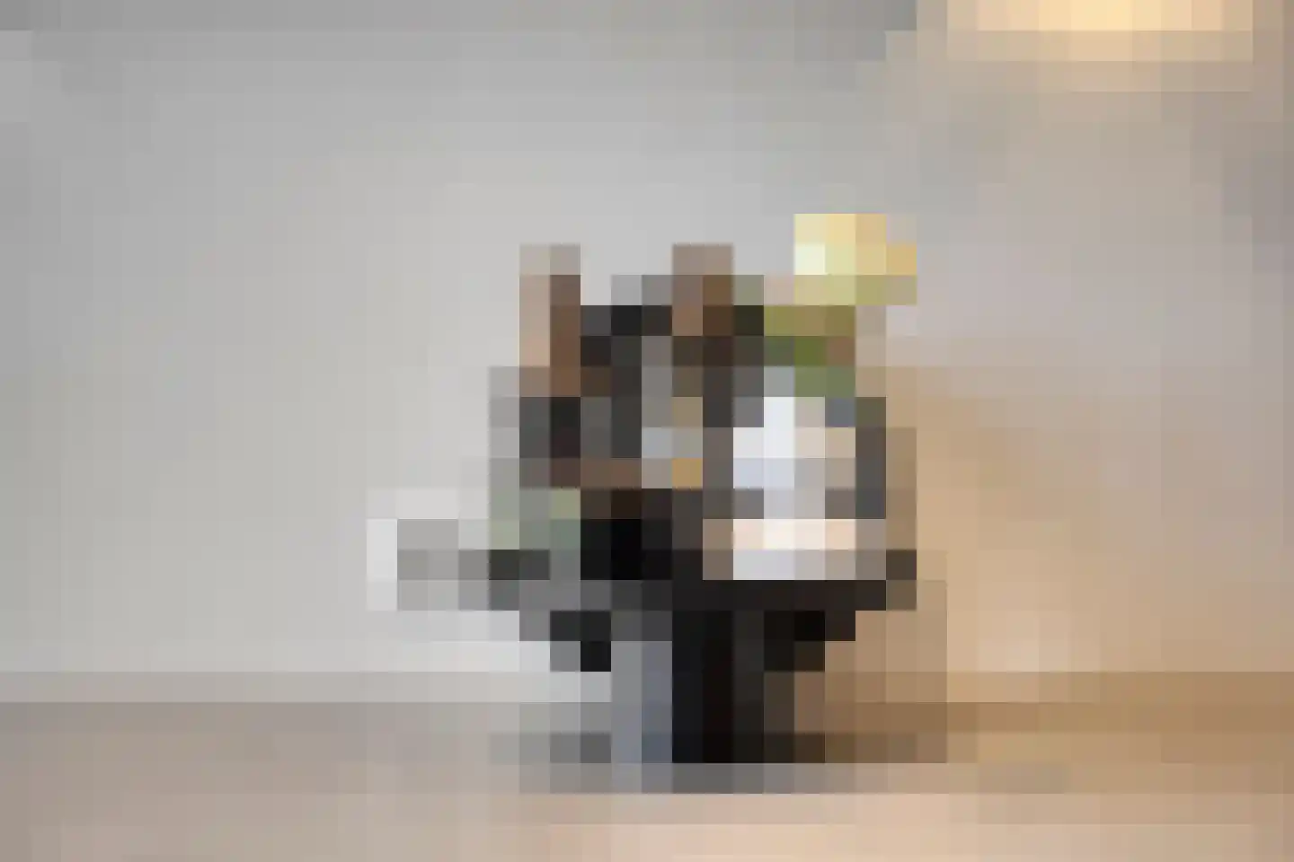 Buitendreef 37 Eindhoven thumbnail 23