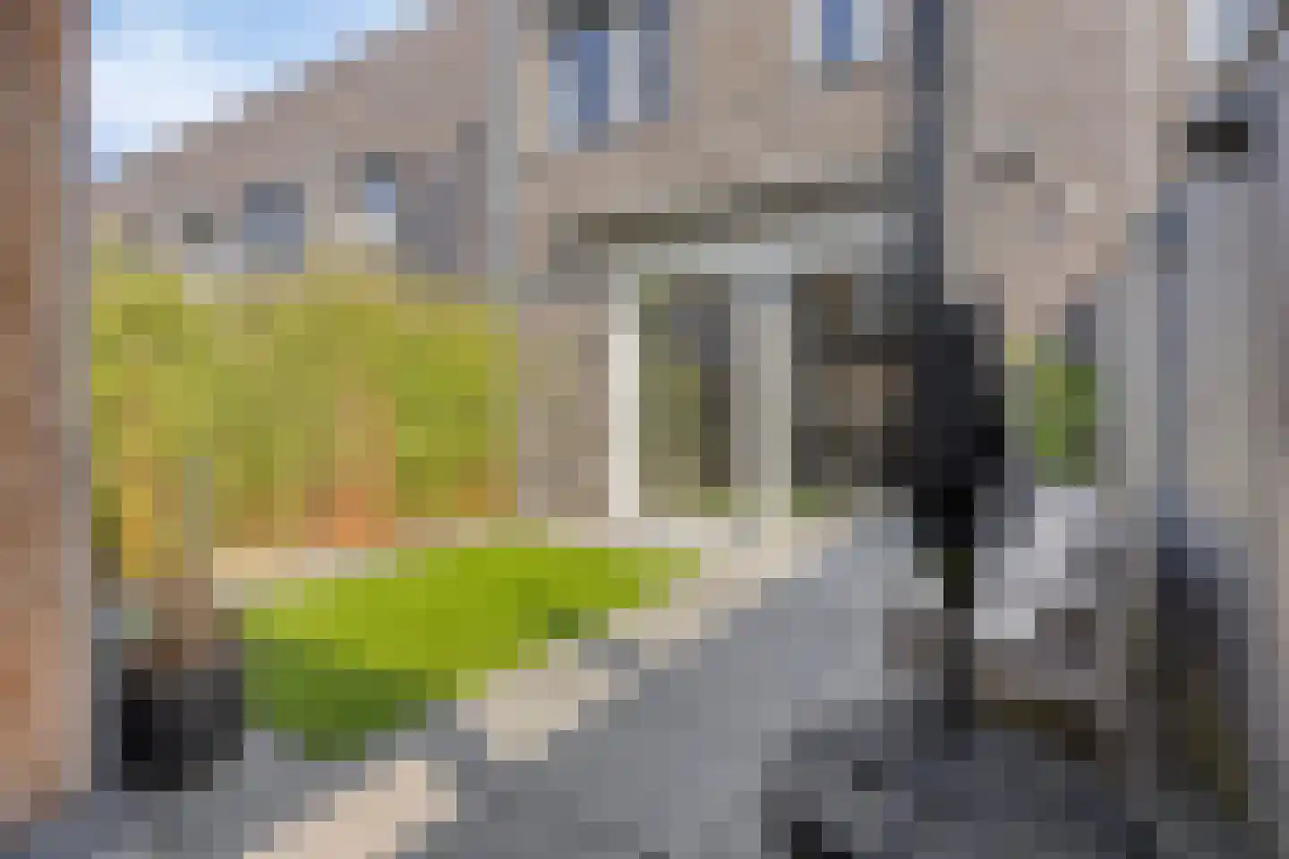 Buitendreef 37 Eindhoven thumbnail 43