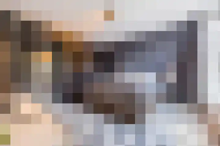 Buitendreef 4 Eindhoven thumbnail 18