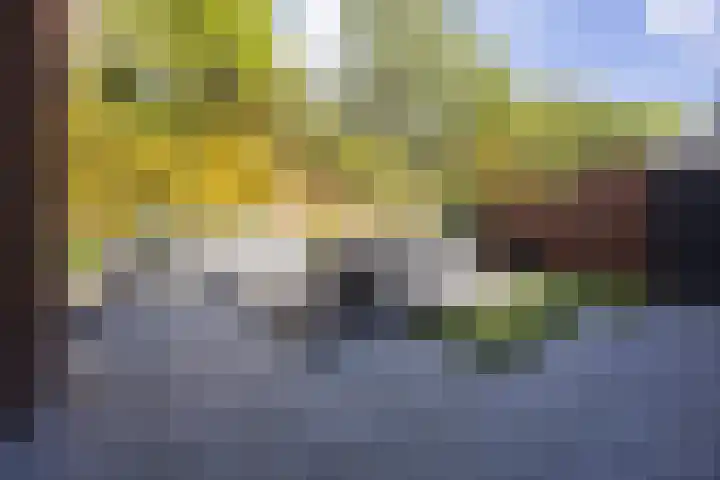 Buitendreef 4 Eindhoven thumbnail 32