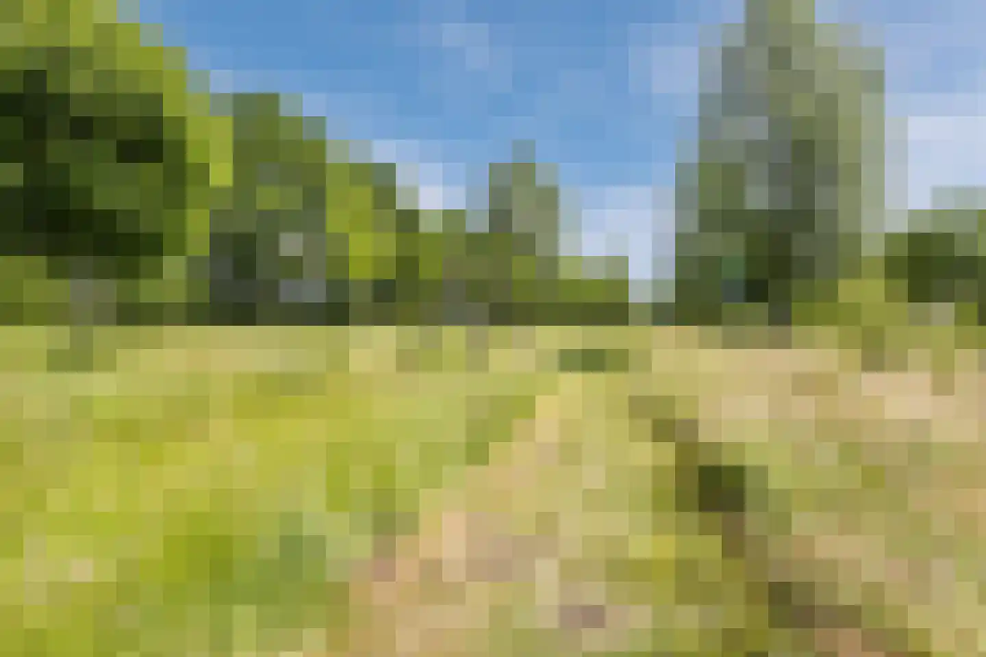 Buitendreef 8 Veghel thumbnail 29
