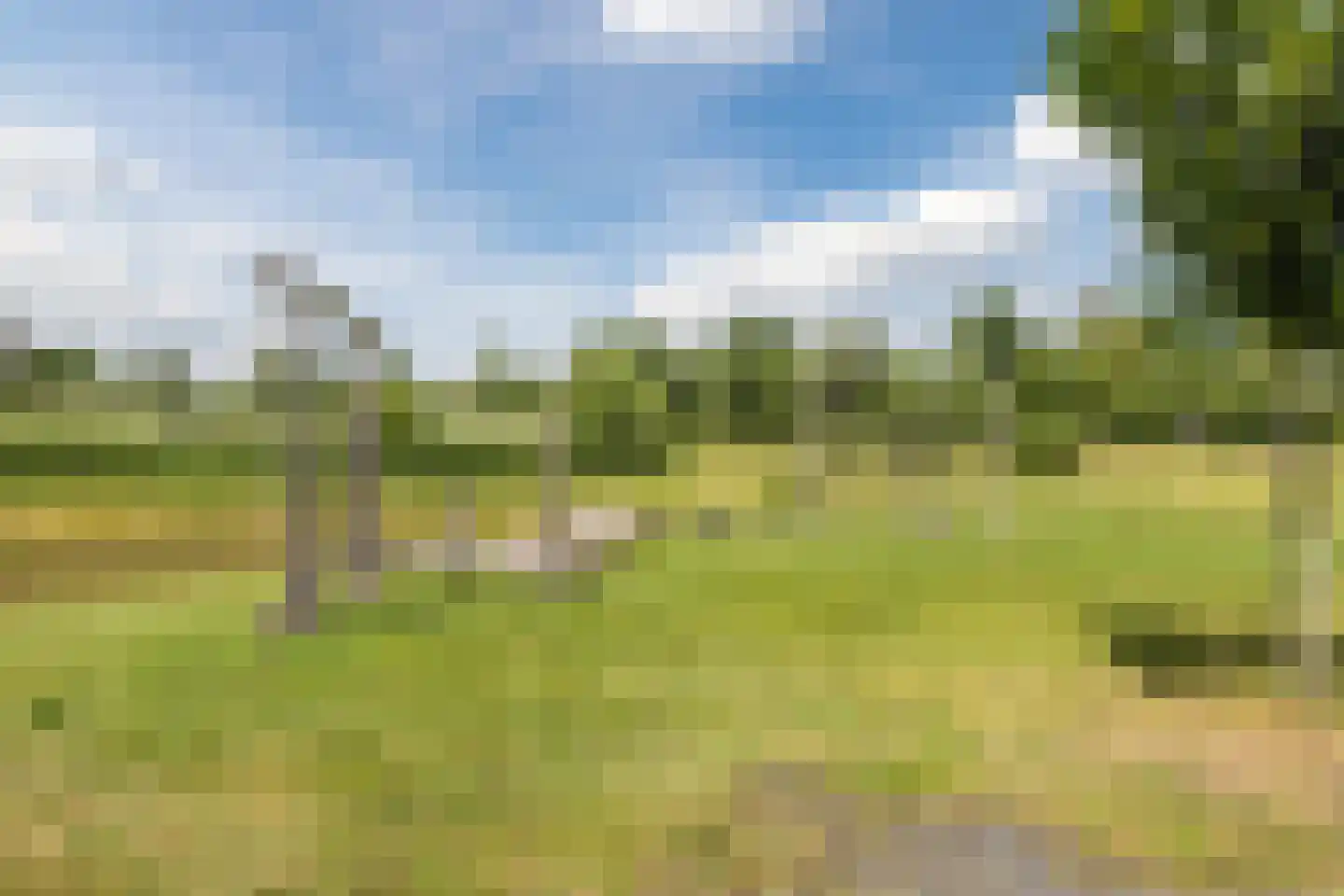 Buitendreef 8 Veghel thumbnail 31