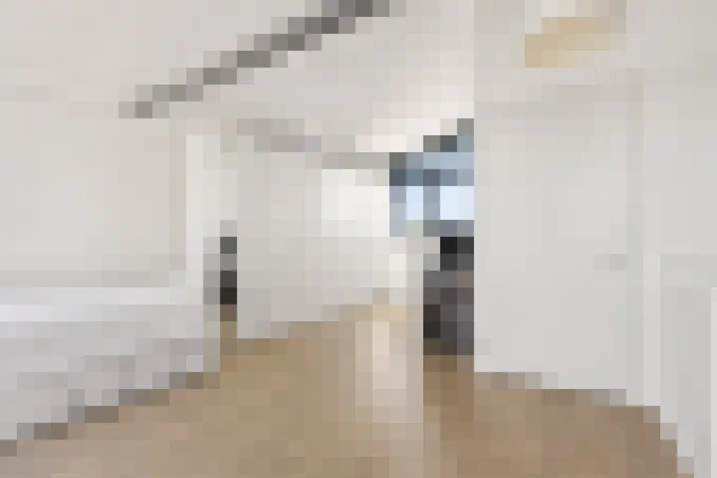 Buitenduinstraat 7 Almere thumbnail 31