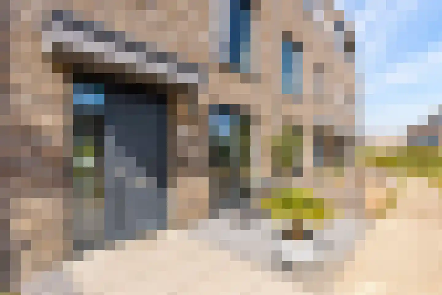 Buitenduinstraat 7 Almere thumbnail 38