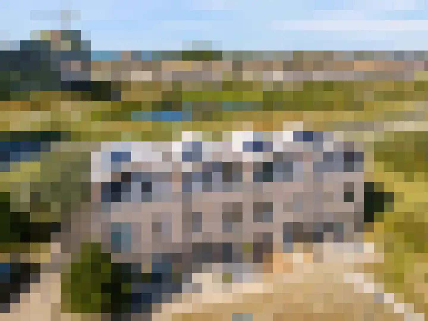 Buitenduinstraat 7 Almere thumbnail 43