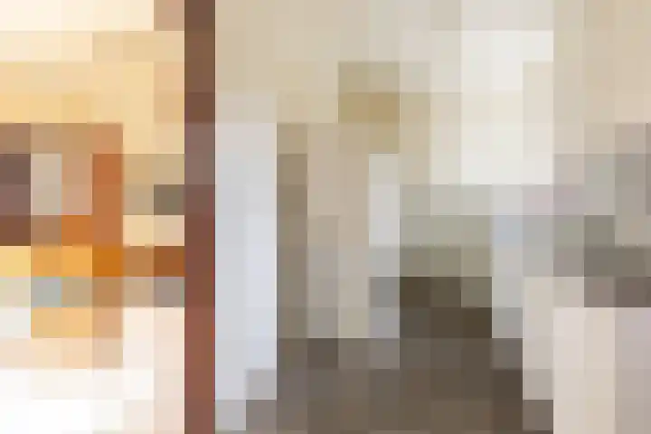 Buiteneinde 24 Strijen thumbnail 20