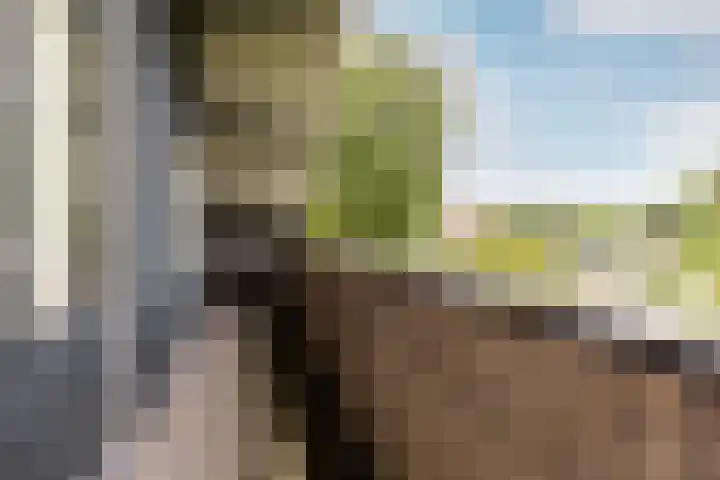Buiteneinde 24 Strijen thumbnail 24