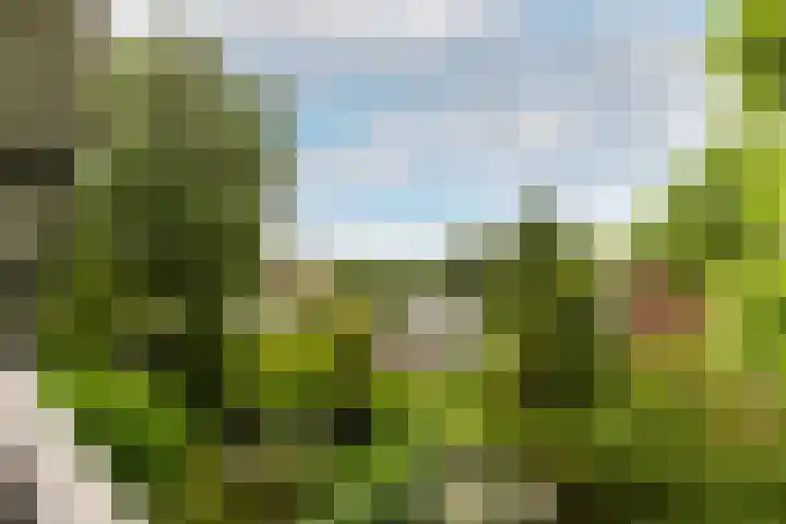 Buiteneinde 24 Strijen thumbnail 25