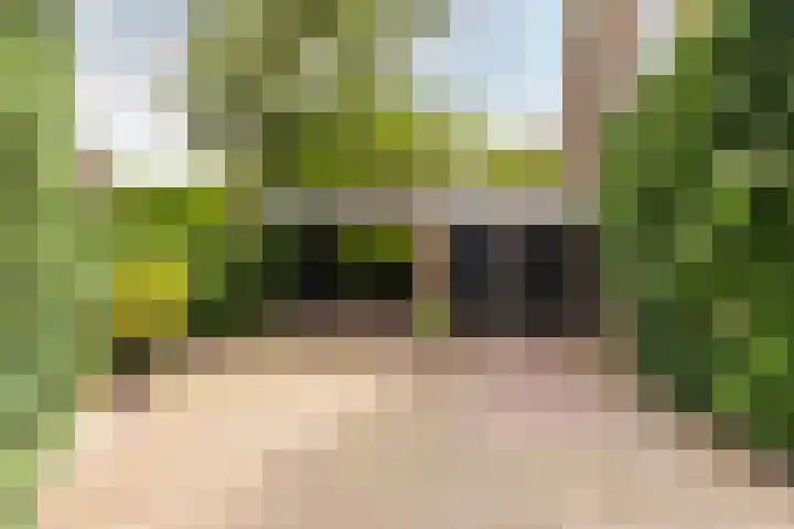 Buiteneinde 24 Strijen thumbnail 33