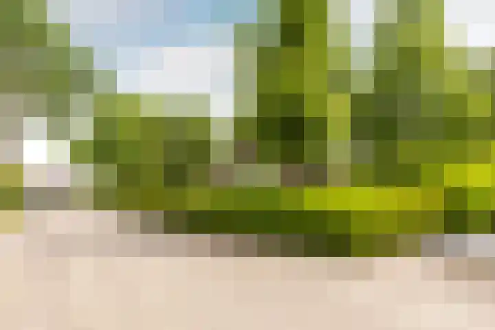 Buiteneinde 24 Strijen thumbnail 34
