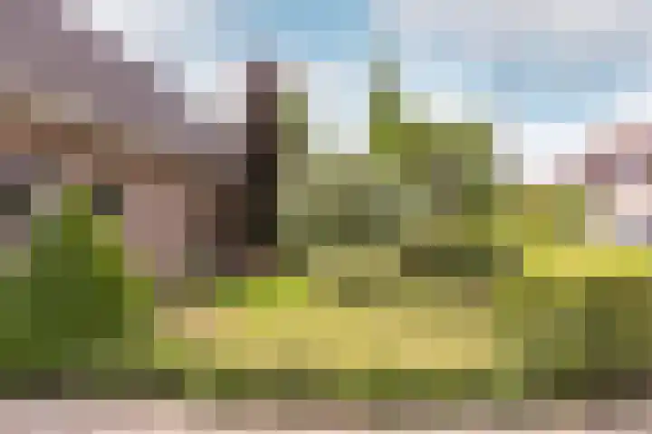 Buiteneinde 24 Strijen thumbnail 35