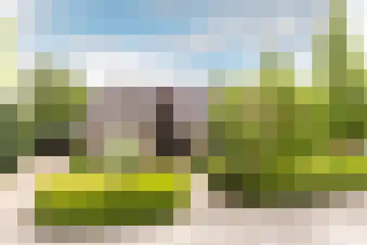 Buiteneinde 24 Strijen thumbnail 36