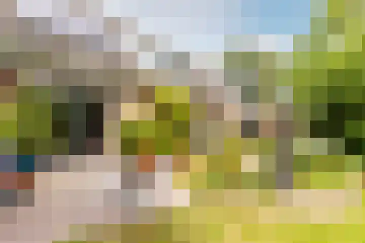 Buiteneinde 24 Strijen thumbnail 37