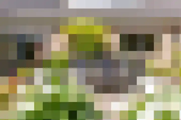 Buiteneinde 24 Strijen thumbnail 38