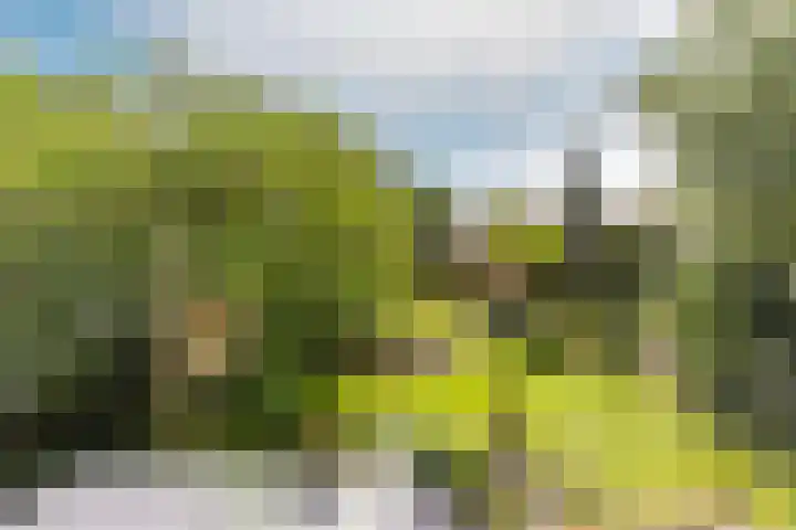 Buiteneinde 24 Strijen thumbnail 39