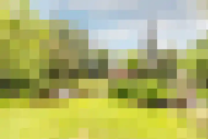 Buiteneinde 24 Strijen thumbnail 4