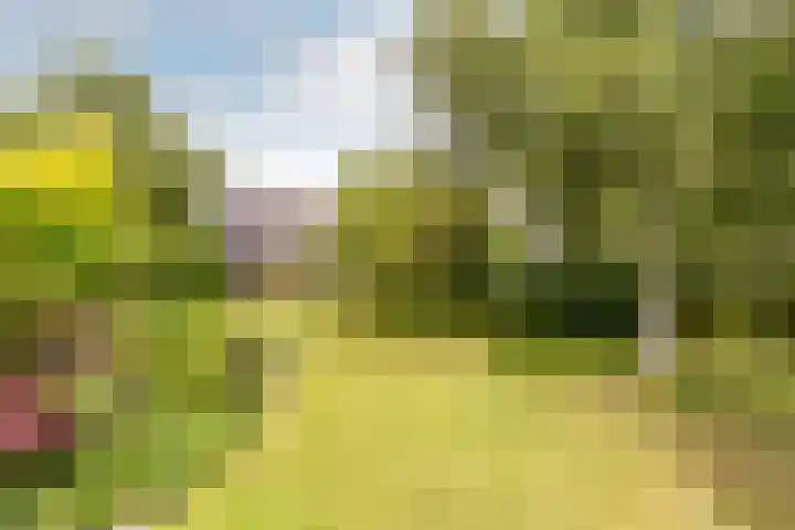 Buiteneinde 24 Strijen thumbnail 40
