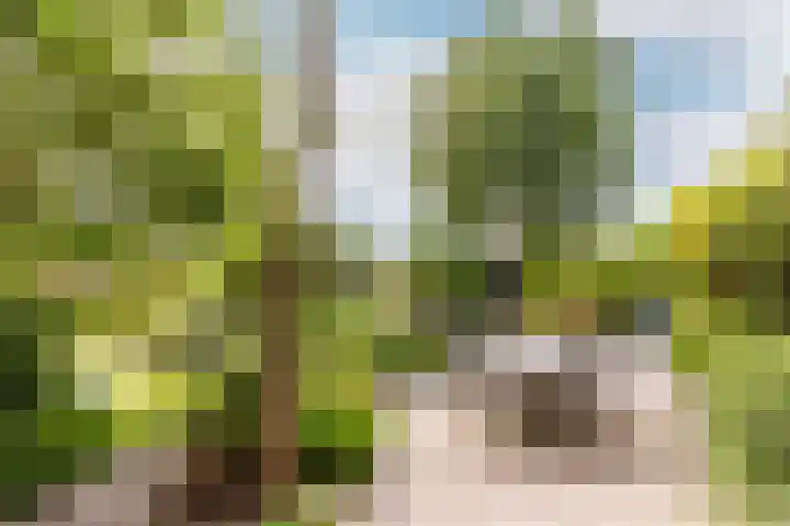 Buiteneinde 24 Strijen thumbnail 41
