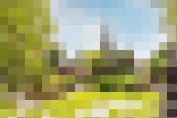 Buiteneinde 24 Strijen thumbnail 42