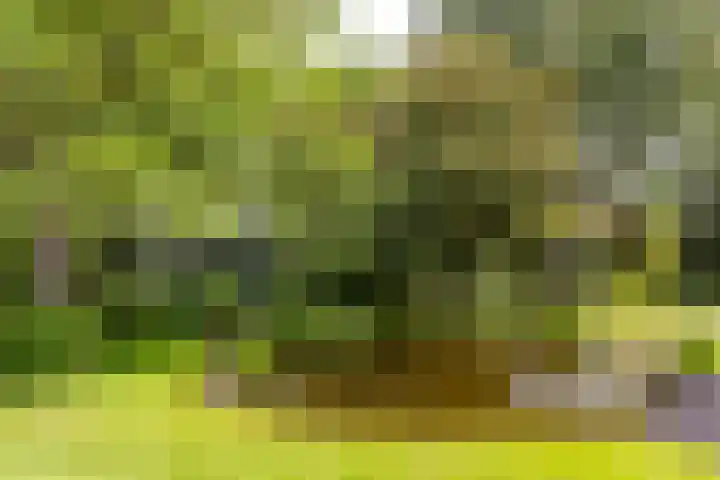 Buiteneinde 24 Strijen thumbnail 43