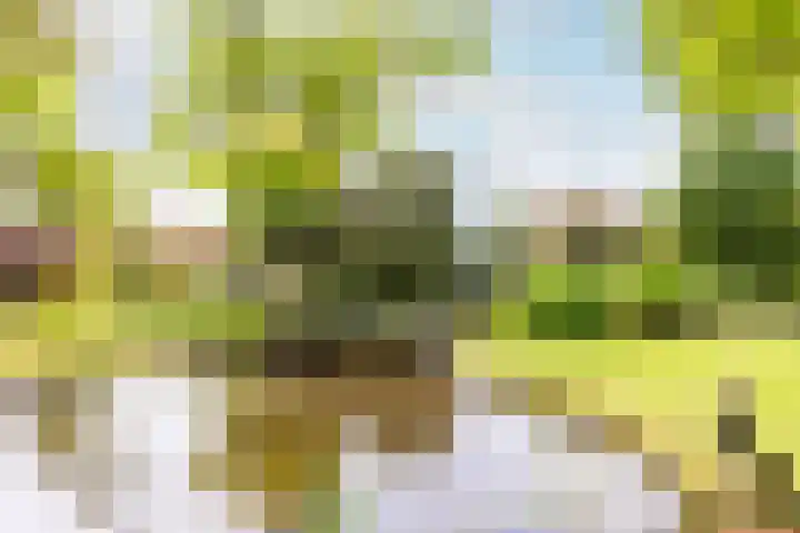 Buiteneinde 24 Strijen thumbnail 44