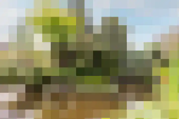 Buiteneinde 24 Strijen thumbnail 45
