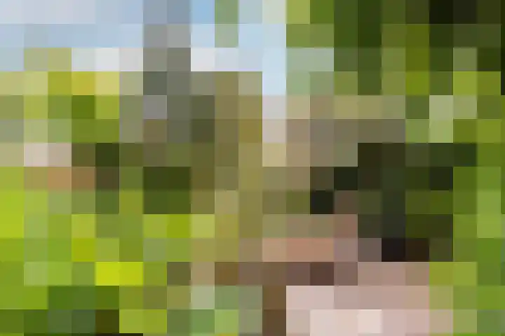 Buiteneinde 24 Strijen thumbnail 46
