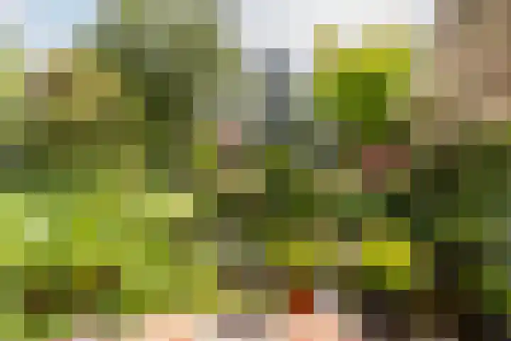 Buiteneinde 24 Strijen thumbnail 47