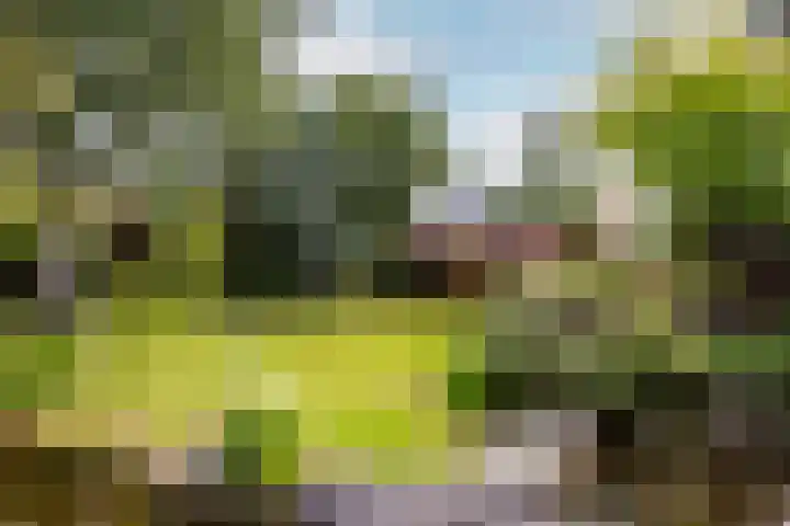 Buiteneinde 24 Strijen thumbnail 48