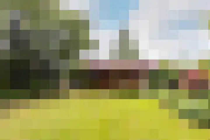 Buiteneinde 24 Strijen thumbnail 49