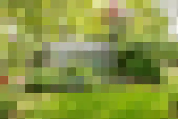Buiteneinde 24 Strijen thumbnail 5