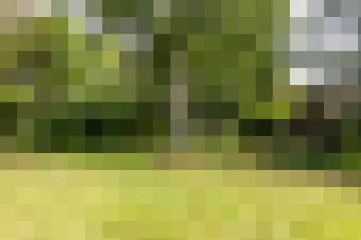 Buiteneinde 24 Strijen thumbnail 50