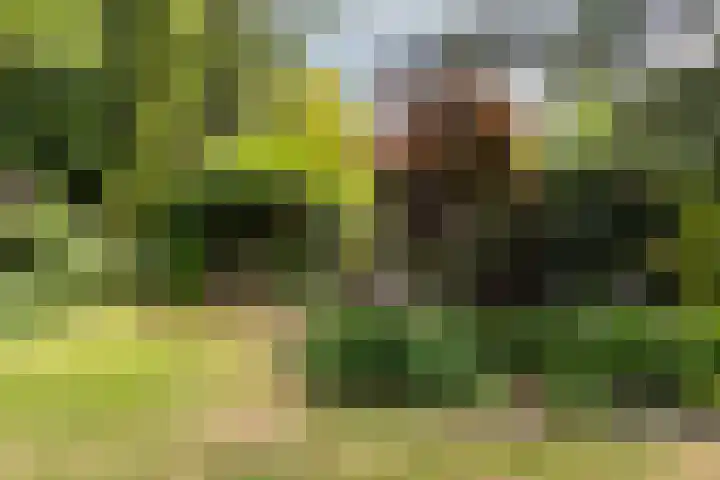 Buiteneinde 24 Strijen thumbnail 51