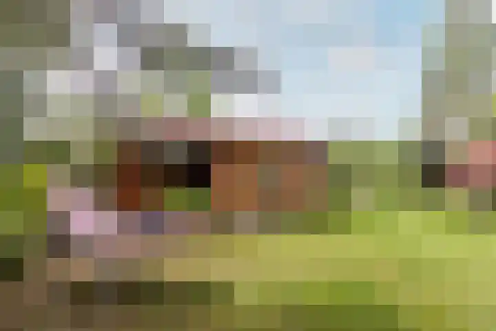 Buiteneinde 24 Strijen thumbnail 52