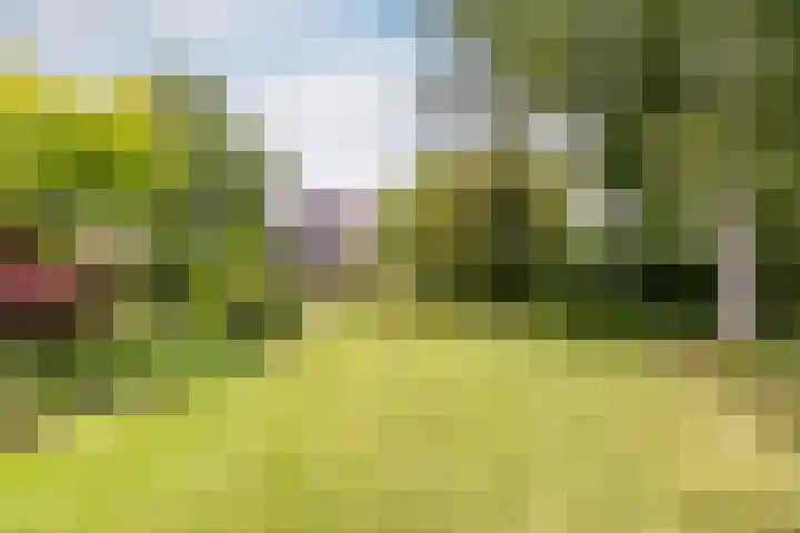 Buiteneinde 24 Strijen thumbnail 53