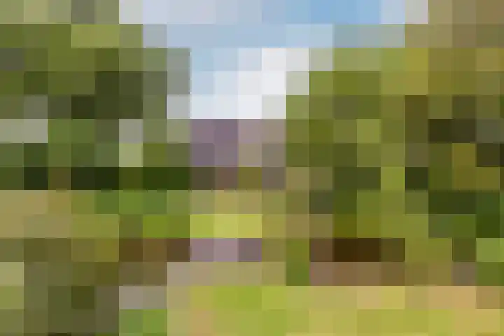 Buiteneinde 24 Strijen thumbnail 54