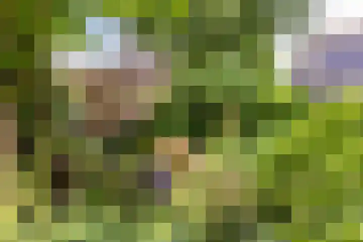 Buiteneinde 24 Strijen thumbnail 55