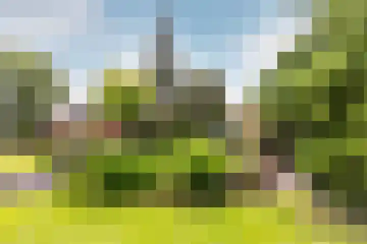 Buiteneinde 24 Strijen thumbnail 56