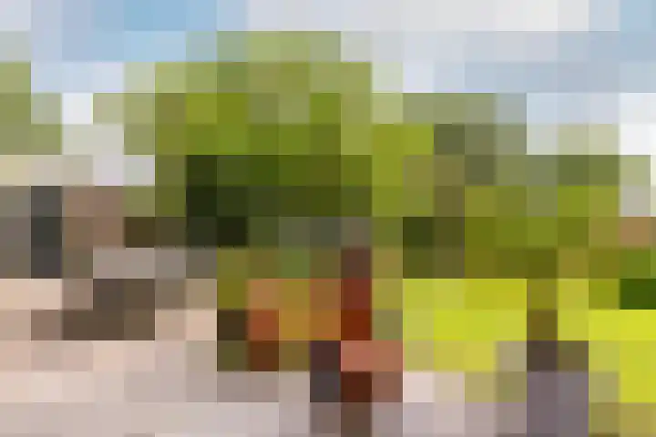 Buiteneinde 24 Strijen thumbnail 6