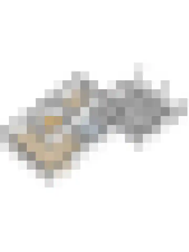 Buiteneinde 24 Strijen thumbnail 61