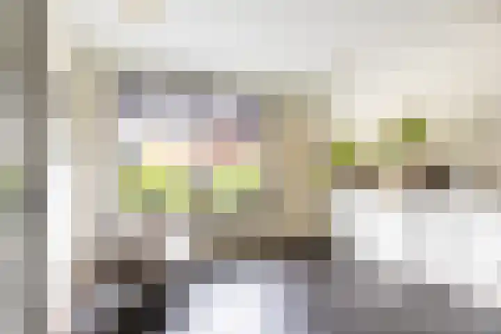 Buiteneinde 28 Strijen thumbnail 10