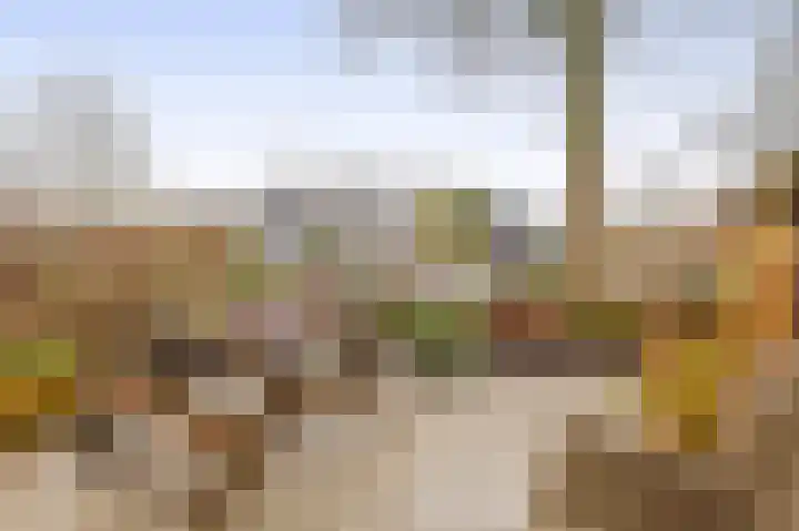 Buiteneinde 28 Strijen thumbnail 15